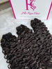Mink_burmese_curly1