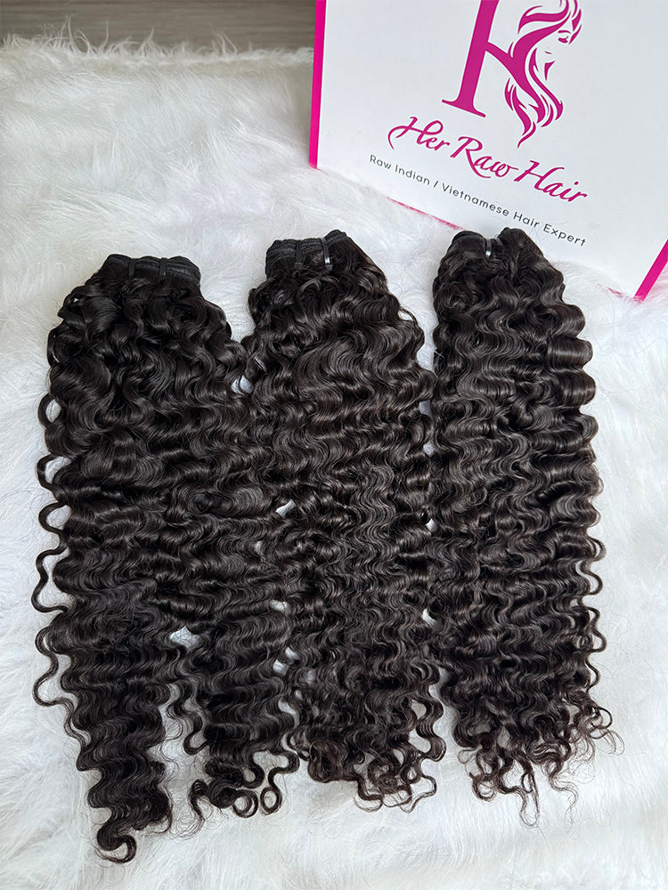 Mink_burmese_curly4