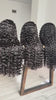 burmesecurlylacewig1